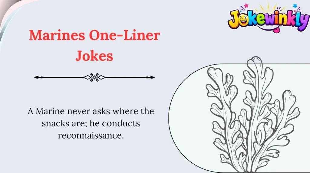 Marines One-Liner Jokes
