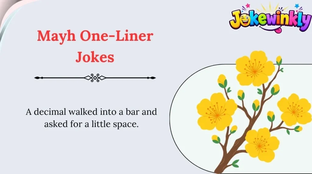 Mayh One-Liner Jokes