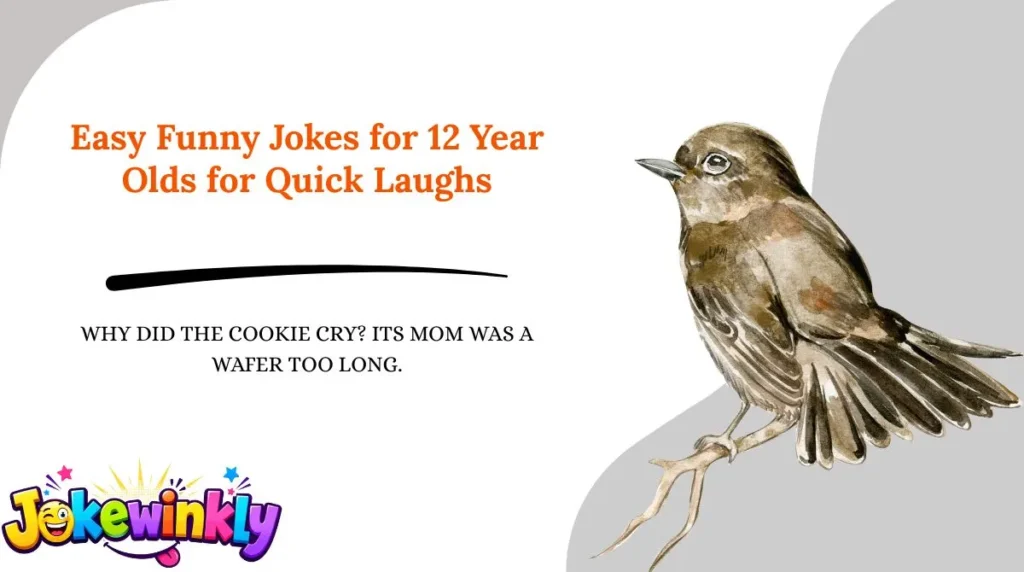 Easy Funny Jokes for 12 Year Olds for Quick Laughs
