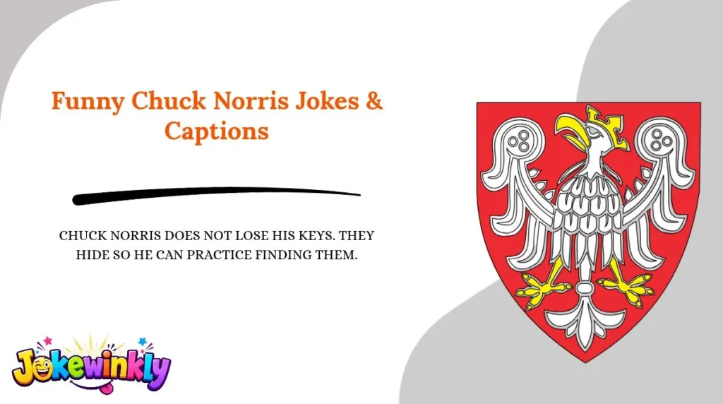 Funny Chuck Norris Jokes & Captions 😂